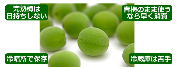 南高梅の用途別熟度の目安 – 紀州田辺うめ振興協議会