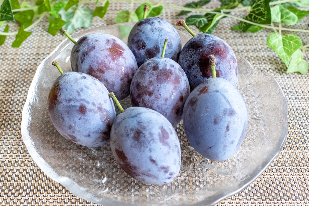 中身が青いドラゴンフルーツのイラスト素材101637552- PIXTA