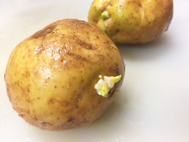 芽の出たジャガイモの料理方法と保存方法は？ OKWAVE