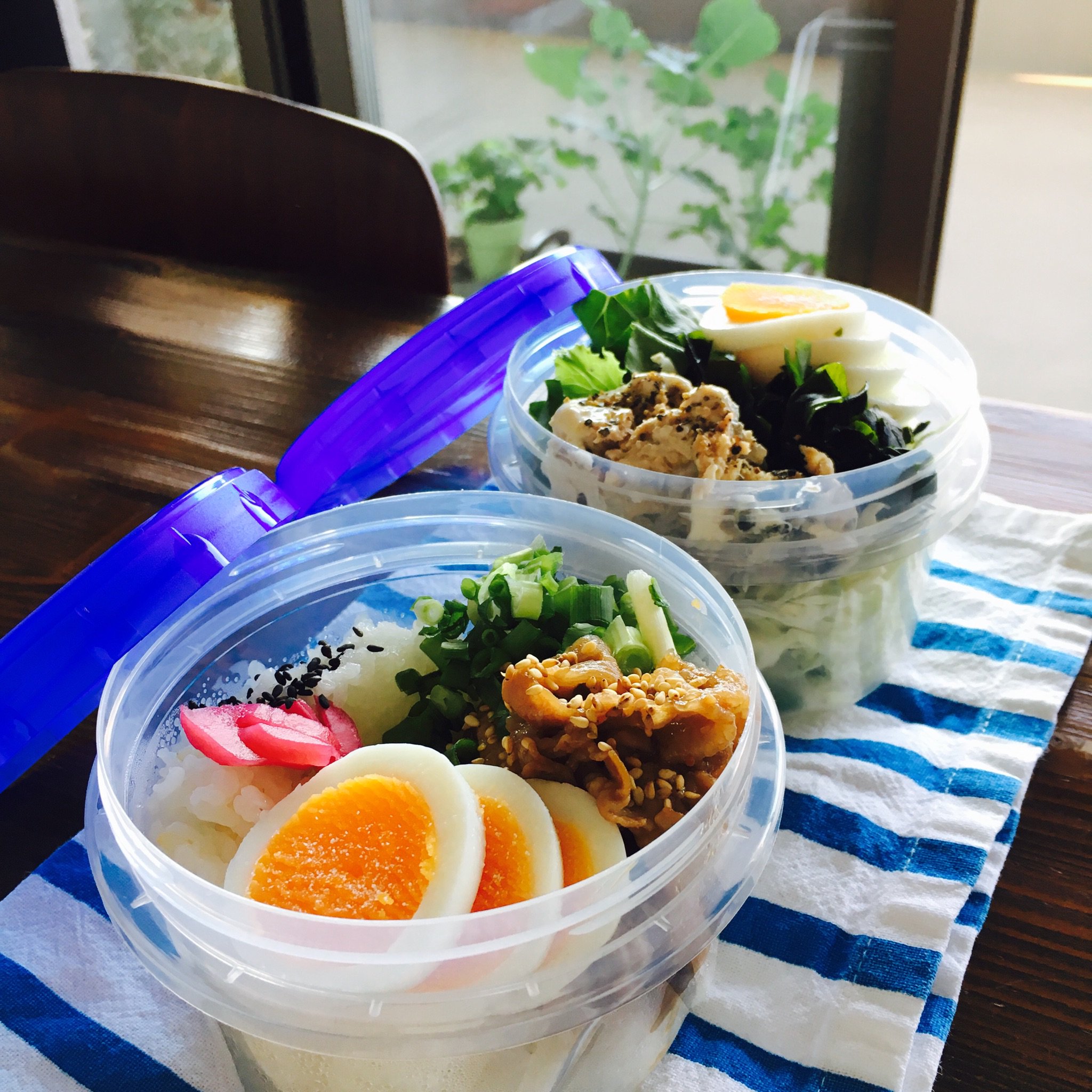 お弁当箱より使い勝手◎ジップロック弁当が人気の理由 - たまGoo