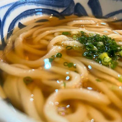 長さと太さにびっくり！京都名物「一本うどん」 気になるそのお味は？ たわらや- LIVE JAPAN日本の旅行・観光・体験ガイド