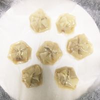 小籠包の完全ガイド 台湾人先生直伝！初心者でもできる包み方のコツ おうちで点心屋さん