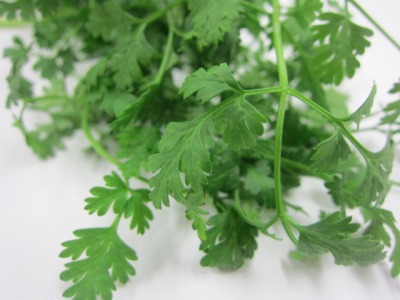 楽天市場 ケーキ デコレーション ハーブの通販