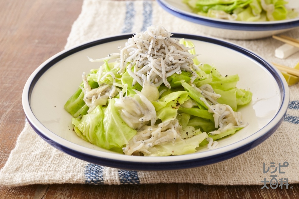 パスタの具材にもおすすめ！ キャベツとしらすの旨塩サラダ