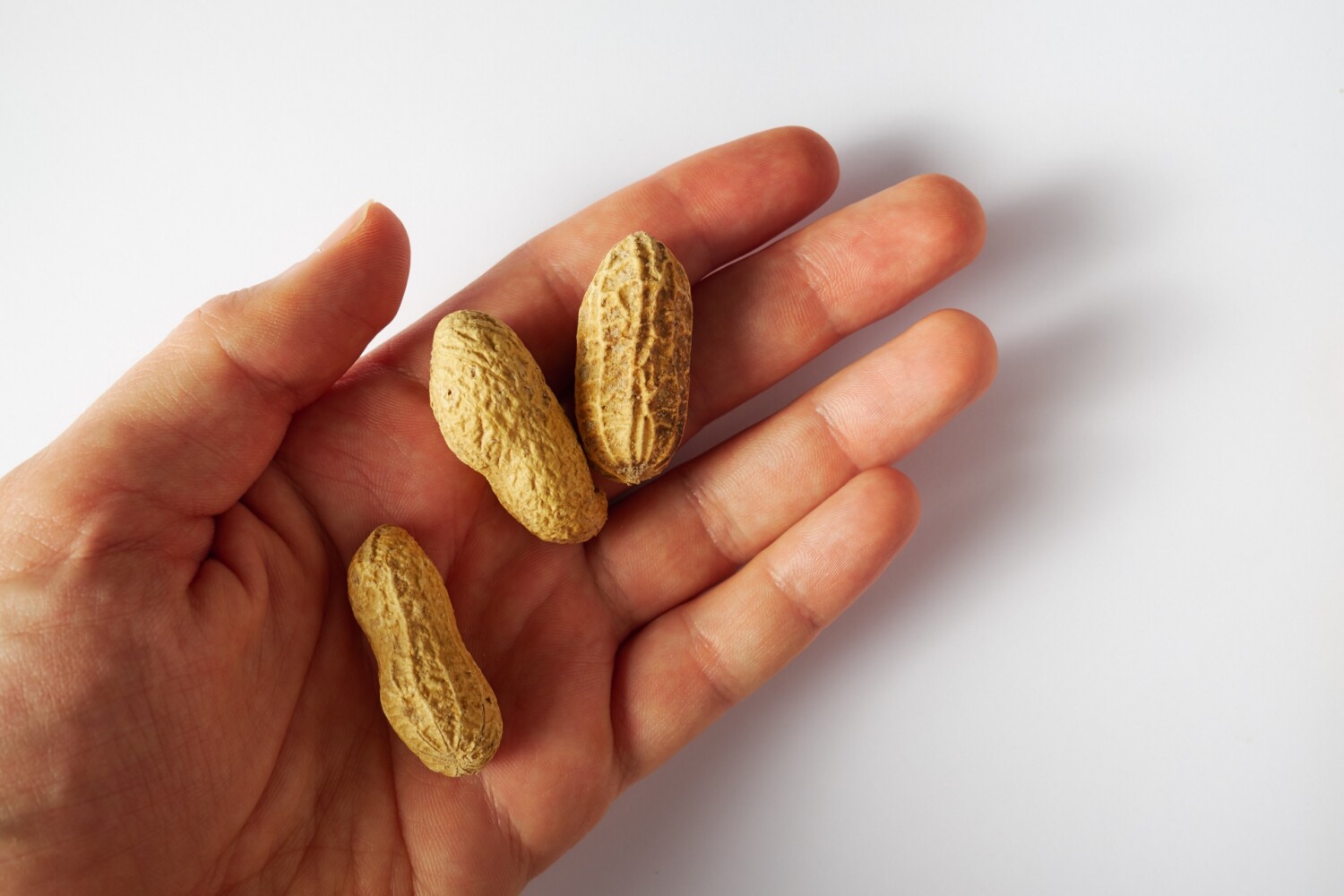 茹で落花生と味噌ピーナッツの作り方と保存・アレンジ完全ガイド - 味噌ピーナツ落花生茨城県水戸市有限会社宮田卯之商店