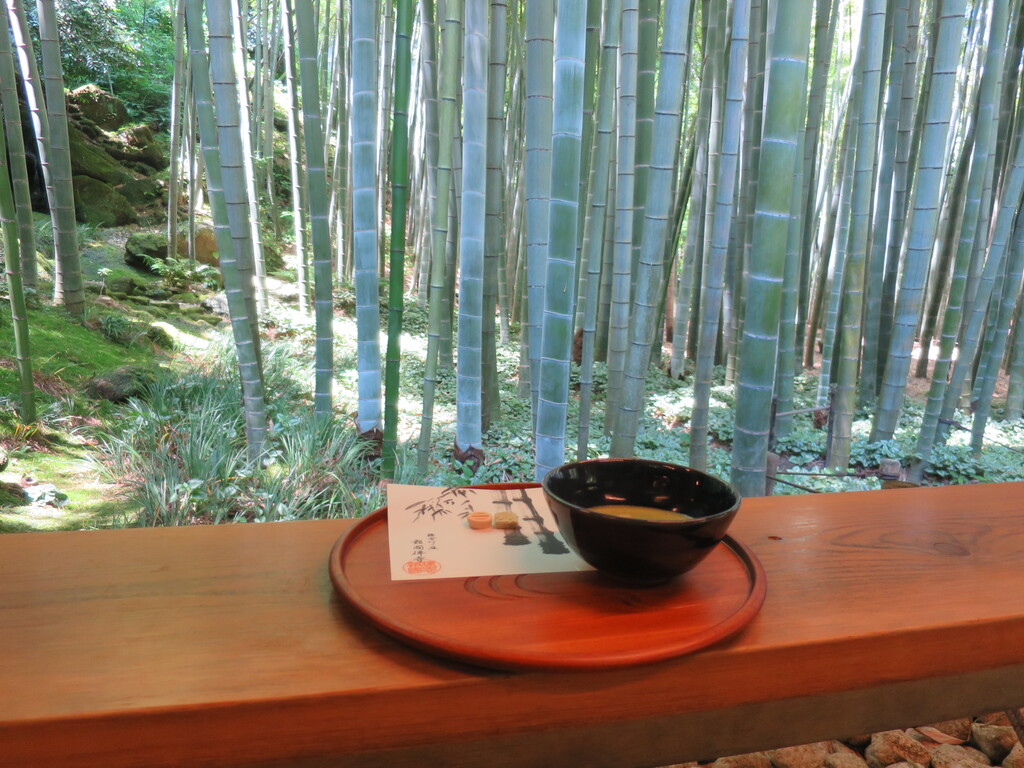 竹を見ながら抹茶で一服 ～報国寺～ - かまふち