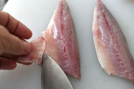 早くてかんたん」目から鱗のさばき方と、 おススメのアジ料理2品！WEBマガジン HEAT