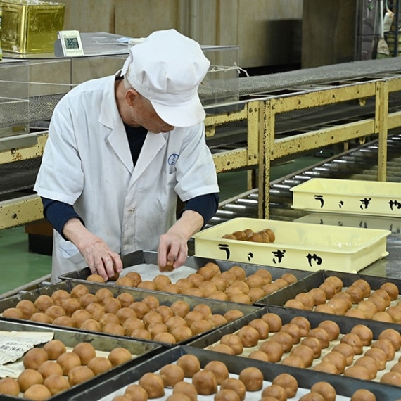 宇都宮銘菓 チャット １０個入とちぎの食から探す,お菓子・スイーツとちぎもの