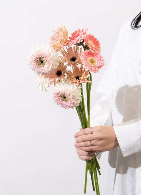 プレゼントに人気なガーベラの花言葉とは？色や本数ごとの違いご紹介胡蝶蘭・スタンド花のプレミアガーデン