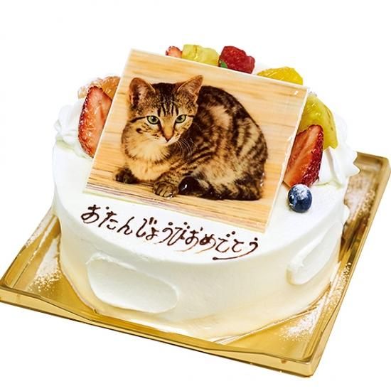 口コミ一覧 : サンドニ - 木更津 ケーキ食べログ