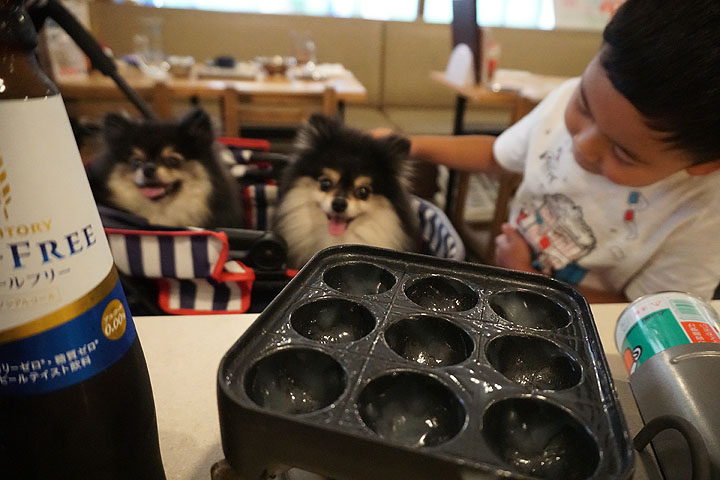 @miitsu0402 ←他の投稿はこちらから, -———————————————, 名物串カツ 田中, 📍姫路市南駅前町125 ビエラ姫路1F,🕛月〜金:16:00〜23:00, 土日祝:14:00〜23:00, 📱079-280-8694, アクセス:JR姫路駅から徒歩3分くらい！,駅から出てずっと屋根があるから雨の日でも🙆‍♀️, 駐車場なし 近隣パーキング ,