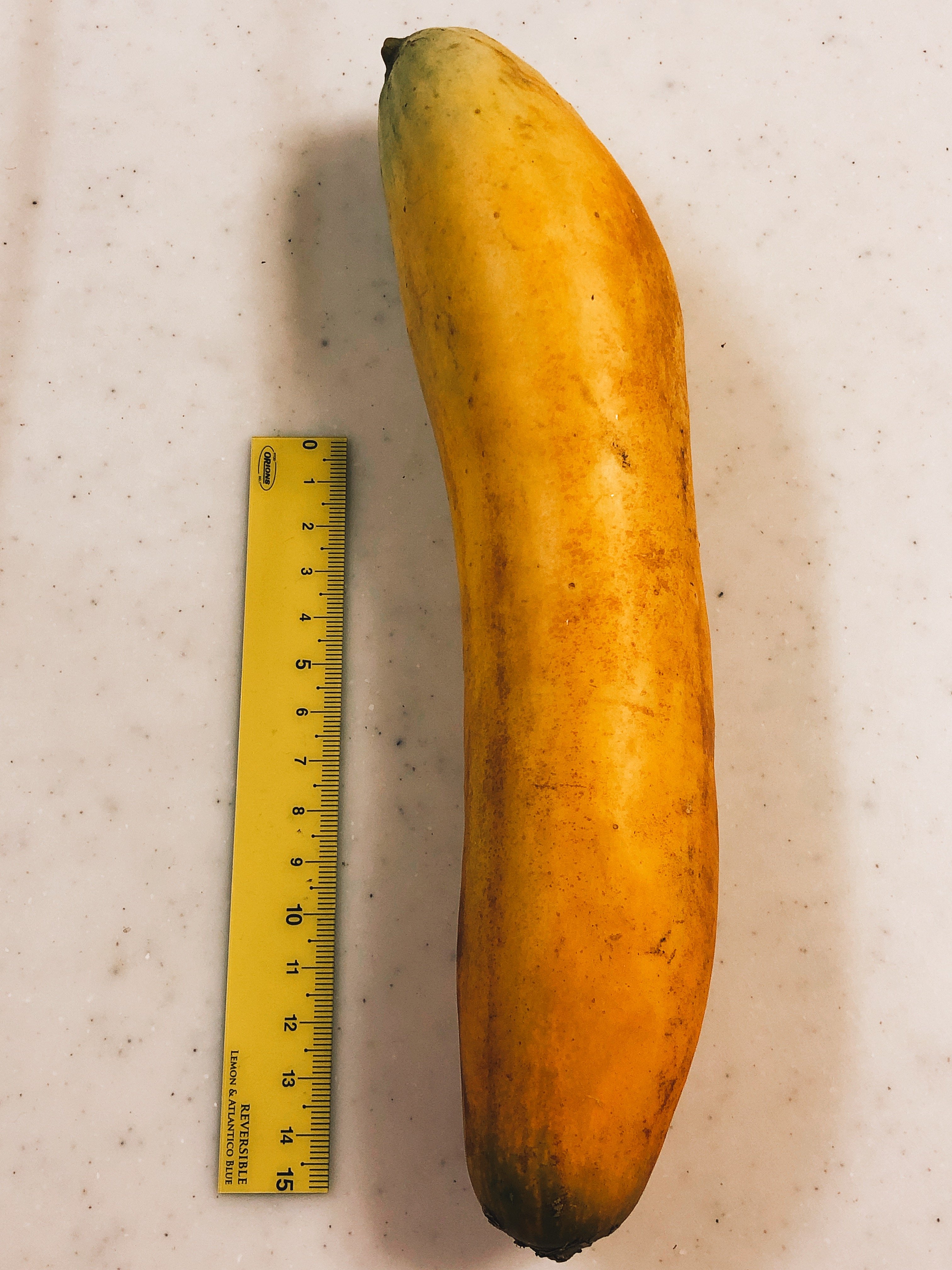 きゅうりを切ったら写真のように中が黄色かったのですが - 食べられますか？ - Yahoo!知恵袋