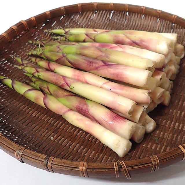 月山筍食材-夏の食材食の都 庄内山形県庄内のおいしい食材と産地と観光スポット