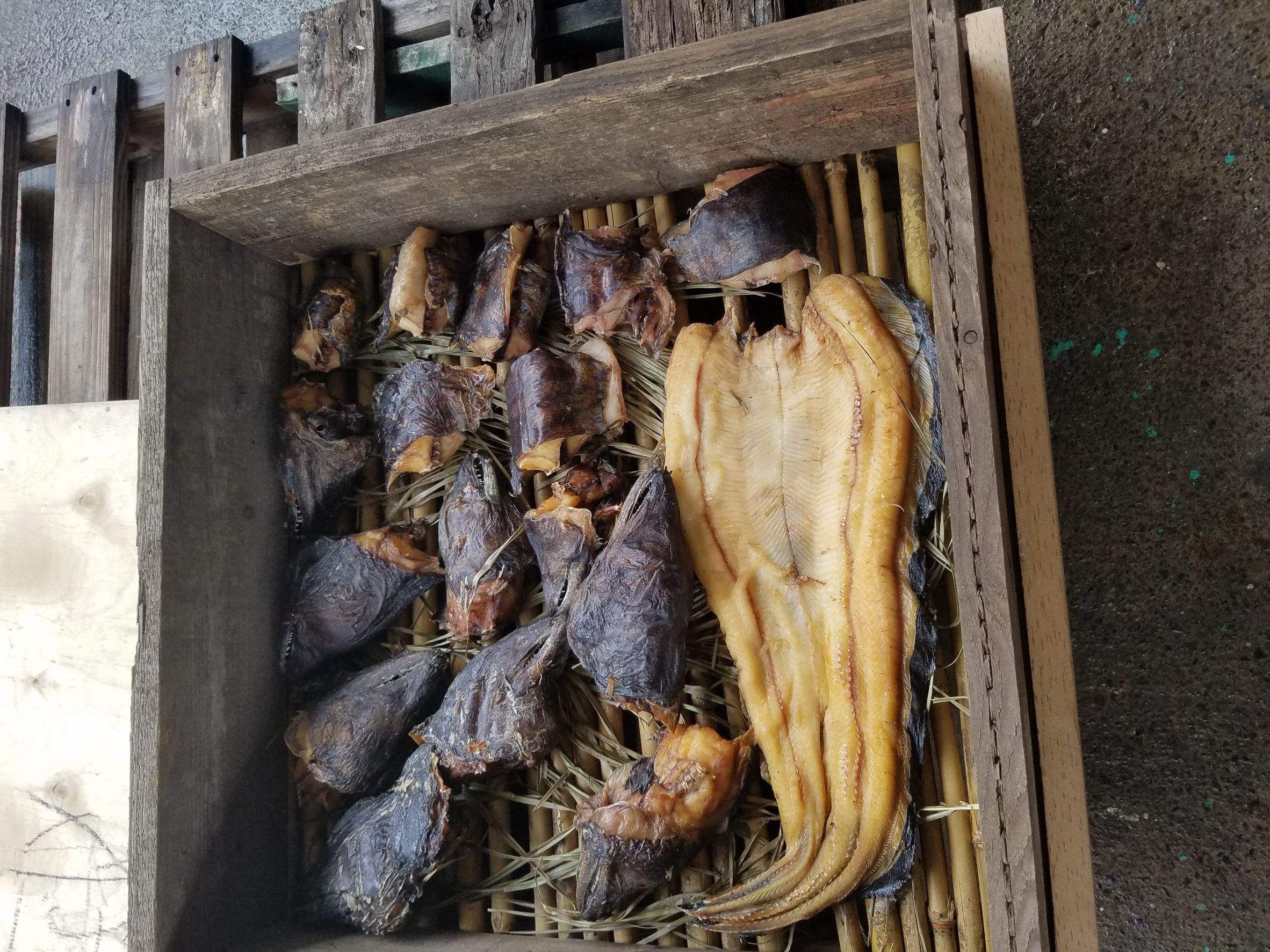 写真付き ウツボの食べ方・味・皮まで食べる調理法唐揚げレシピを紹介ガリオの地球飯 - Part 1000