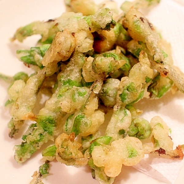 天然こごみ販売 天然最高級こごみ、天然行者ニンニク、天然ふき 最高品質の天然山菜 北海道物産展よりおいしい北海道直送天然食材のオ福ワケ