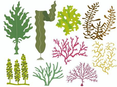 Splatoonフリーアイコンまとめ٥魔子