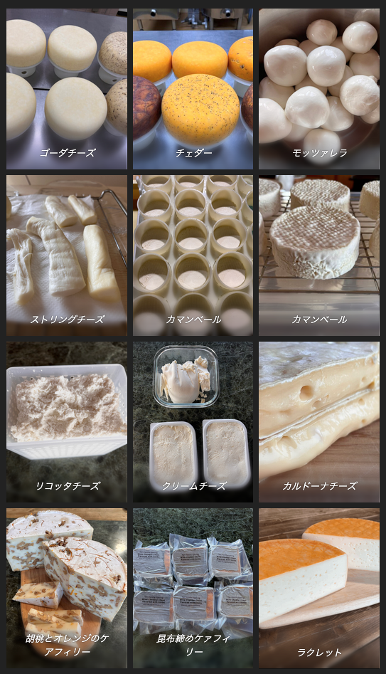 チーズ」の種類・味わいの特徴、ワインとの相性を伝授！ ラクレットで大人気のビストロもご紹介 - dressing ドレッシング