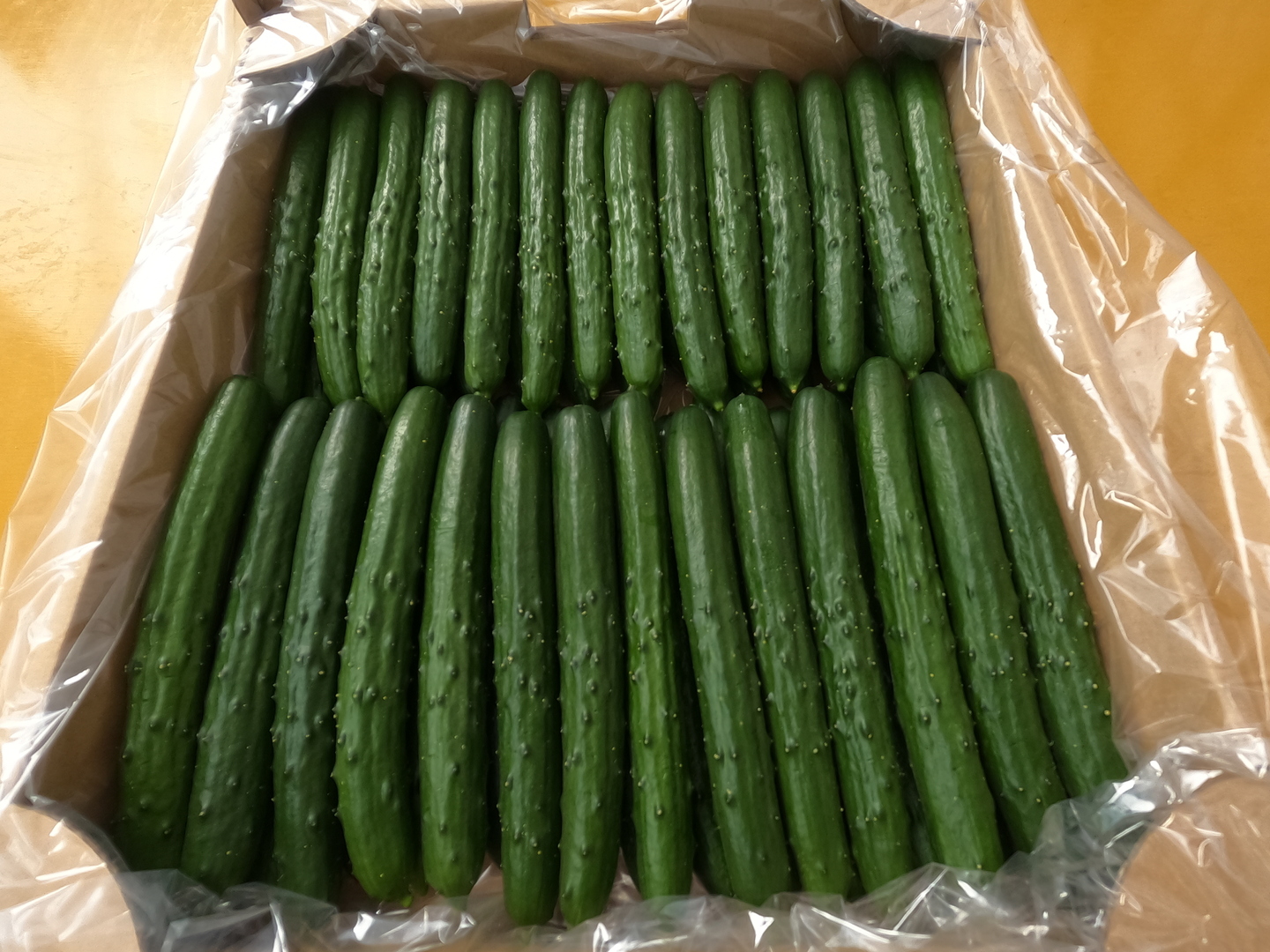 ひとしのきゅうり 佃煮三重のキュウリ、野菜農家、直売や卸、仕入れi Broom
