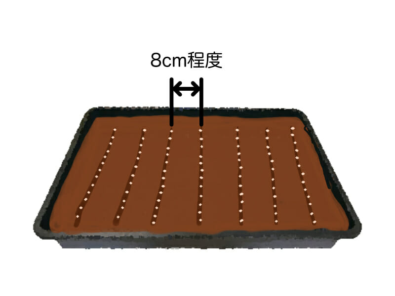 茄子の種まきとペットボトル温室 : 楽園生活