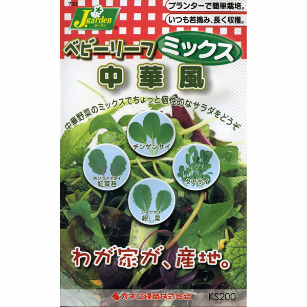 リーフレタスのプランター栽培 種から始める手順や育て方農家web