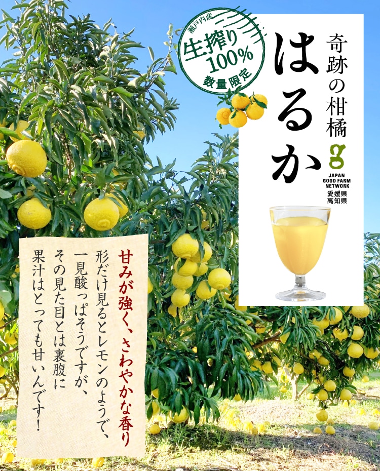 あおもり自慢 あおもり北彩館シャイニーアップルジュース SY-C