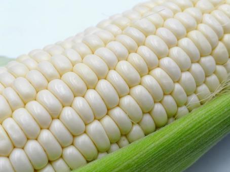 739,100点を超える野菜 とうもろこしのストックフォト、写真、そしてロイヤリティフリーの画像 - iStockピーマン