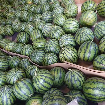 大玉スイカ品種商品一覧スイカ通販専門店「あまいスイカ」美味しいブランドスイカを産地直送