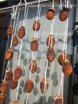 柿餅つくり体験記 令和3年3月1日南相馬市公式ウェブサイト -Minamisoma City