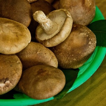 しいたけの黒い部分は食べられる？傘の裏・内側の黒い斑点の原因は何？BOTANICA