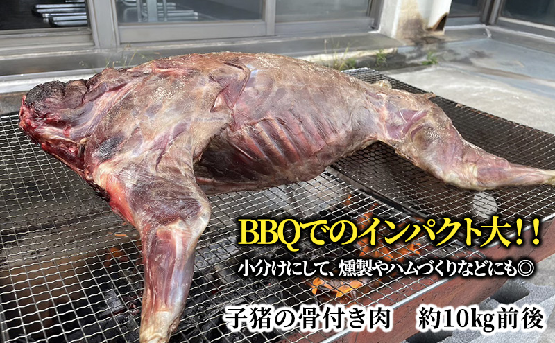 イノシシ料理 - YouTube