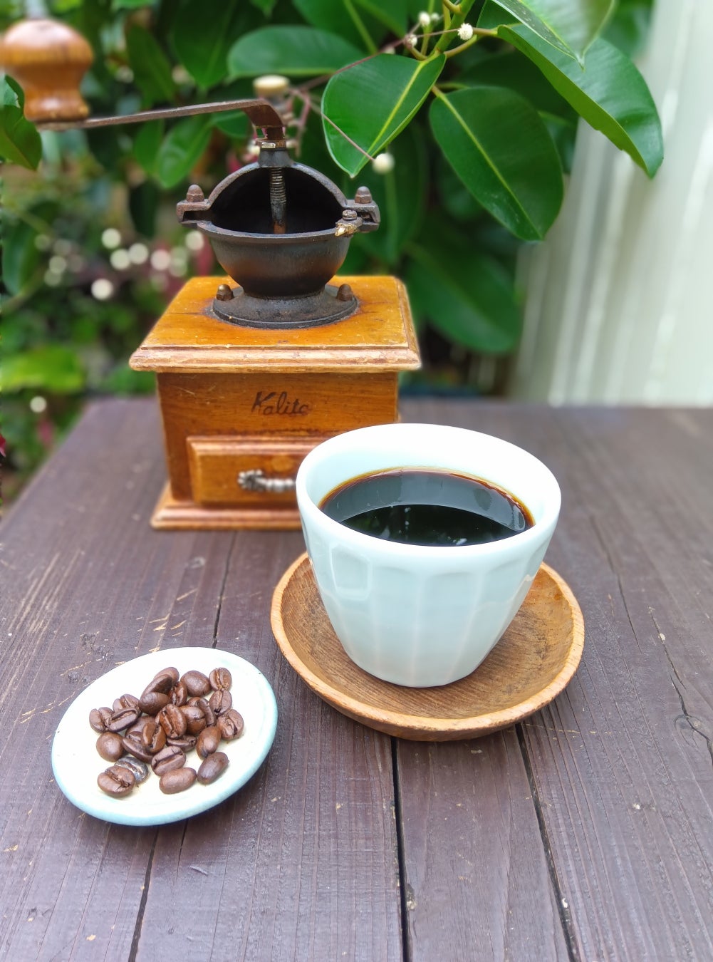 住宅地に突然現れる「コーヒー屋台」 - 鎌倉経済新聞