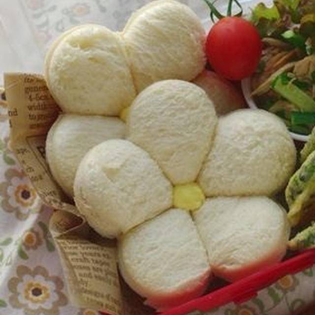 大人のおしゃれなお弁当レシピ特集！ランチタイムが楽しみになるカフェ風メニューも♪folk