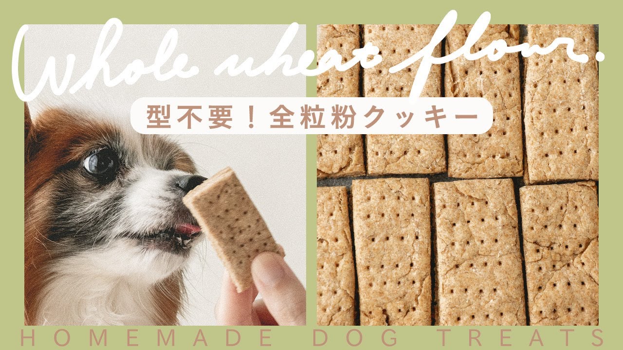 小麦粉不使用おいしいハーブ入り 犬用手作りおやつ 抹茶風味マルベリーリーフのハーブクッキー 手