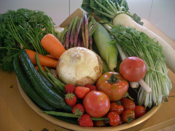 いわしとトマトとなすのグリル