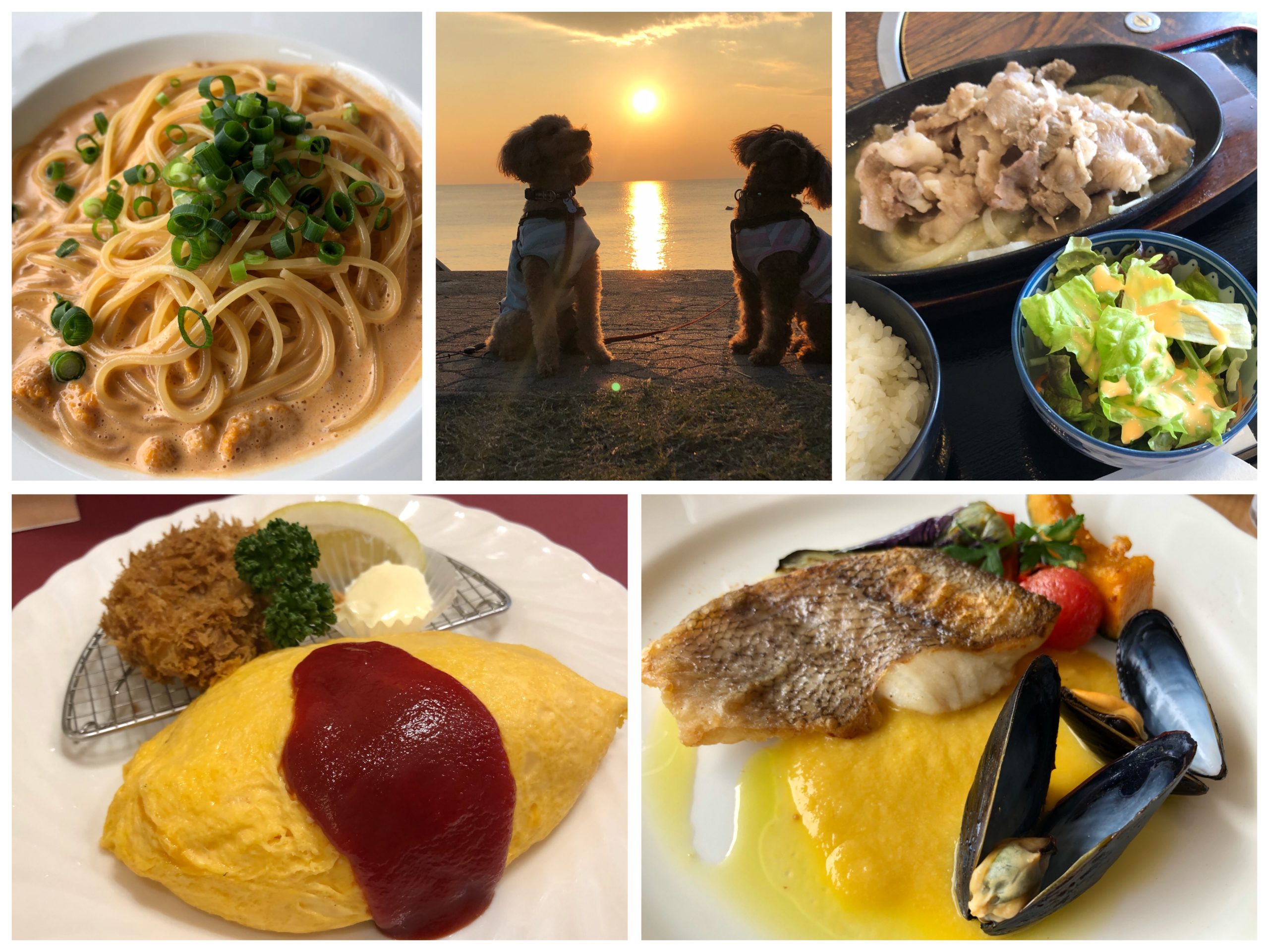 選べるごはん券葉山女子旅きっぷ京浜急行電鉄 KEIKYU