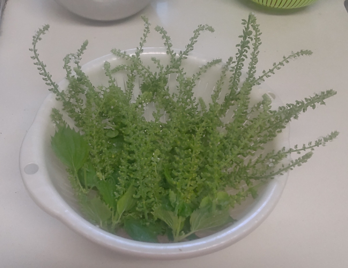 しその実の醤油漬け