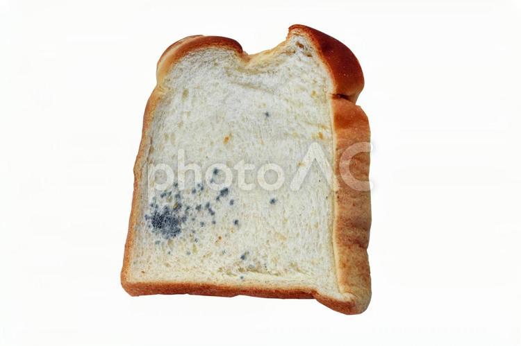 ヤマザキパンは本当にカビないのか？調べてみた 臭素酸カリウム