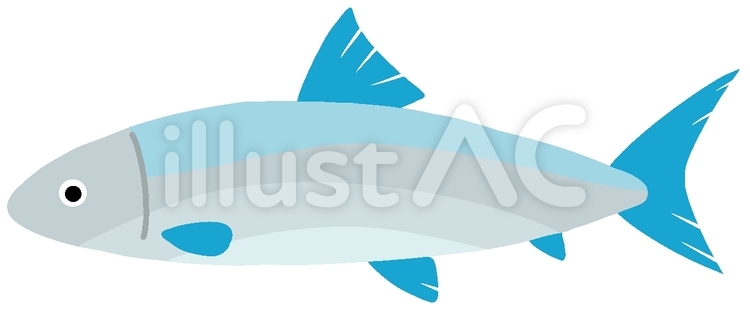 素人が作ったお魚図鑑ソトイワシ目ソコギス亜目トカゲギス科