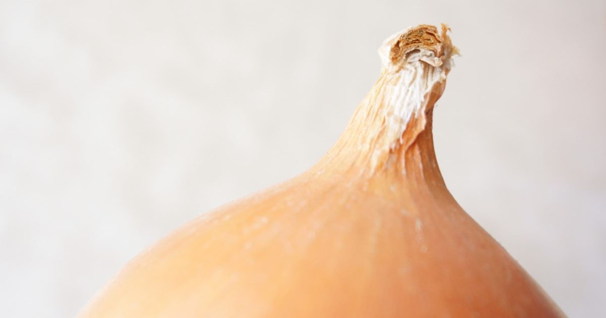 玉ねぎのひげ根を食べてみた❗️採りたては食べられるとの噂で・😁