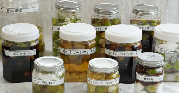 基本からアレンジまで！思わずつくりたくなる「梅シロップ リンゴ酢」のレシピ集クックパッド