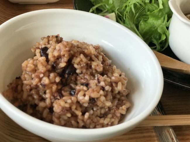 発芽したて玄米かんたんレシピなでしこ健康生活