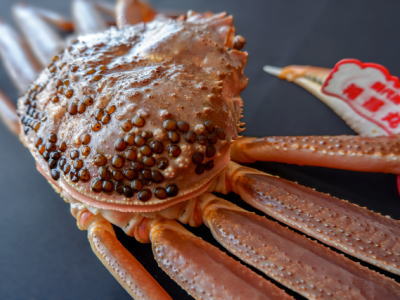 茹津居山かに のご注文指揃い津居山かに城崎温泉 竹内魚店