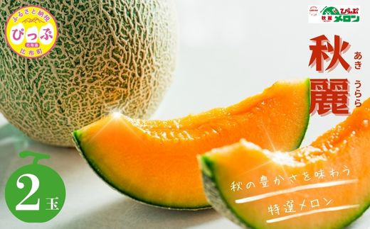 北海道の果物図鑑！旬カレンダー＆全国シェア1位のフルーツも紹介PREZO プレゾ- 北海道のお取り寄せグルメと産直通販