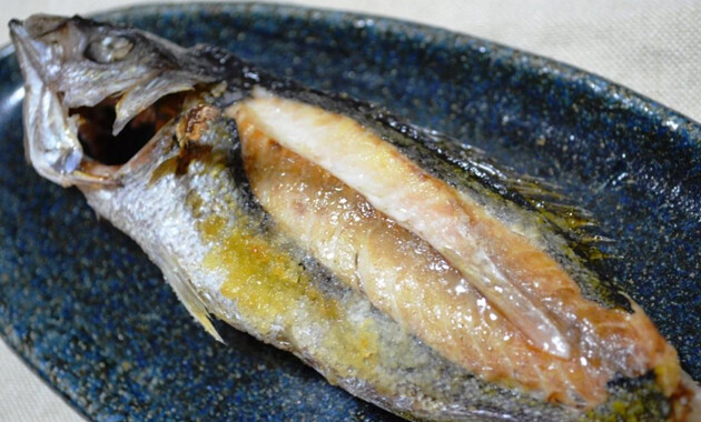 タカベってどんな魚？人気のレシピ・料理方法・釣り方・さばき方を解説！釣りラボマガジン