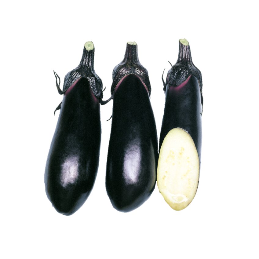 第14回 ナス詳しく知りたい、取り入れたい 自然の力・有機の力 〜実践編〜読みものサカタのタネ 家庭菜園・園芸情報サイト 園芸通信