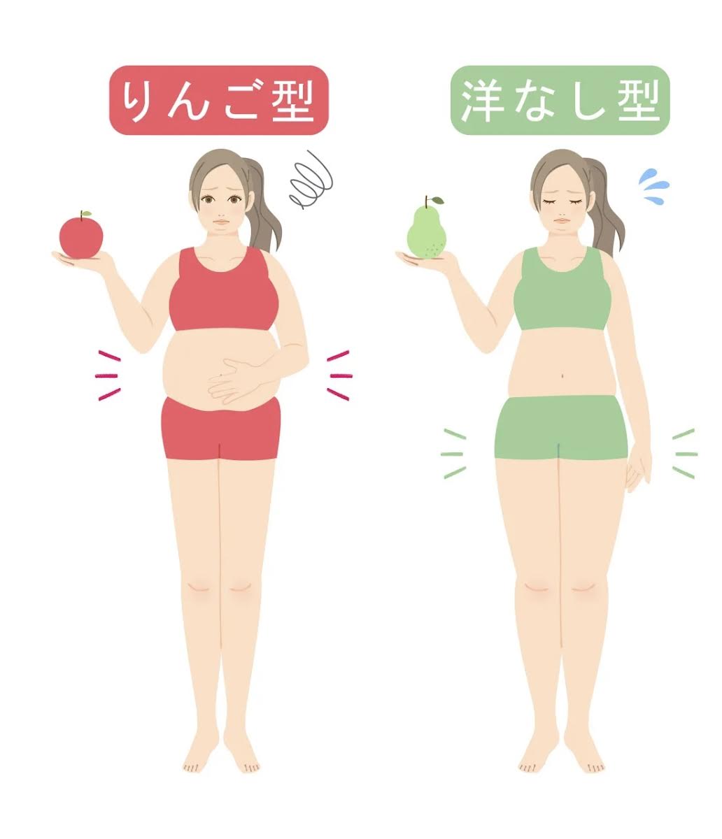 リンゴ体型? 洋ナシ体型?「体型」でみる最適なダイエット成分サプリメント通販サプ