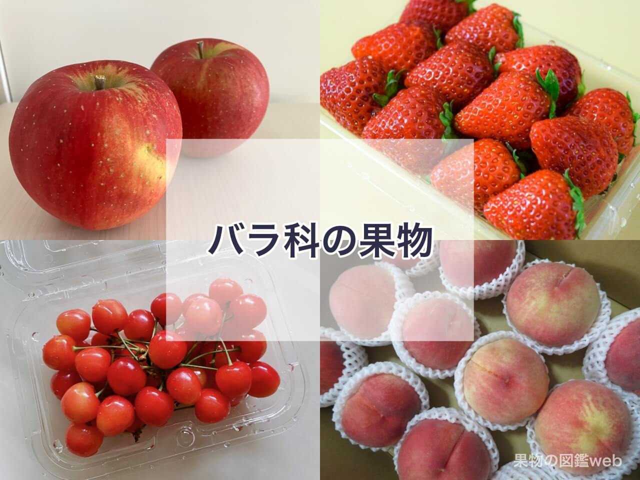 バラ科の果物一覧身近で見られる種類から野イチゴや野菜、ハーブまでLOVEGREEN ラブグリーン