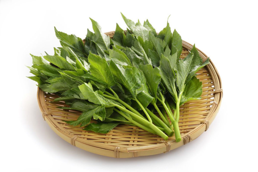 明日葉 アシタバ あしたば選び方と保存方法や料理：旬の野菜百科