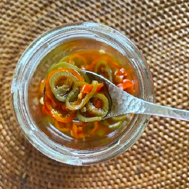 生唐辛子のおすすめの保存方法は？発酵マニアの自家製調味料レシピ発酵おやこ