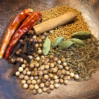 カレーがおいしくなる5点セット 基本のホールスパイス 5種類カルダモン、クローブ、シナモン、ベイリーフ、スターアニスミニスパ！ MINIMALSPICE ☆印度カリー子のスパイスショップ スパイス初心者のための専門店